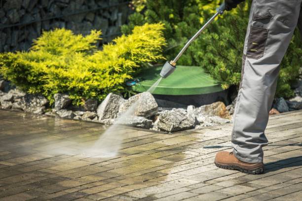 Best Fleet Vehicle Washing  in Listoga, CA